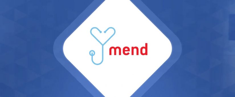 Use Case: Mend & NetDirector